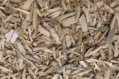 biomass boilers Mansegate