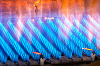 Mansegate gas fired boilers